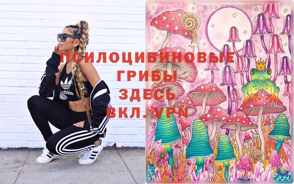 гашиш Вяземский