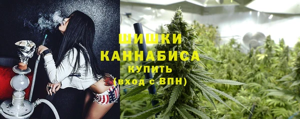 Альфа ПВП Горно-Алтайск