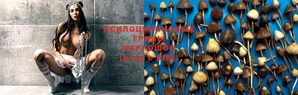 прущая мука Горняк